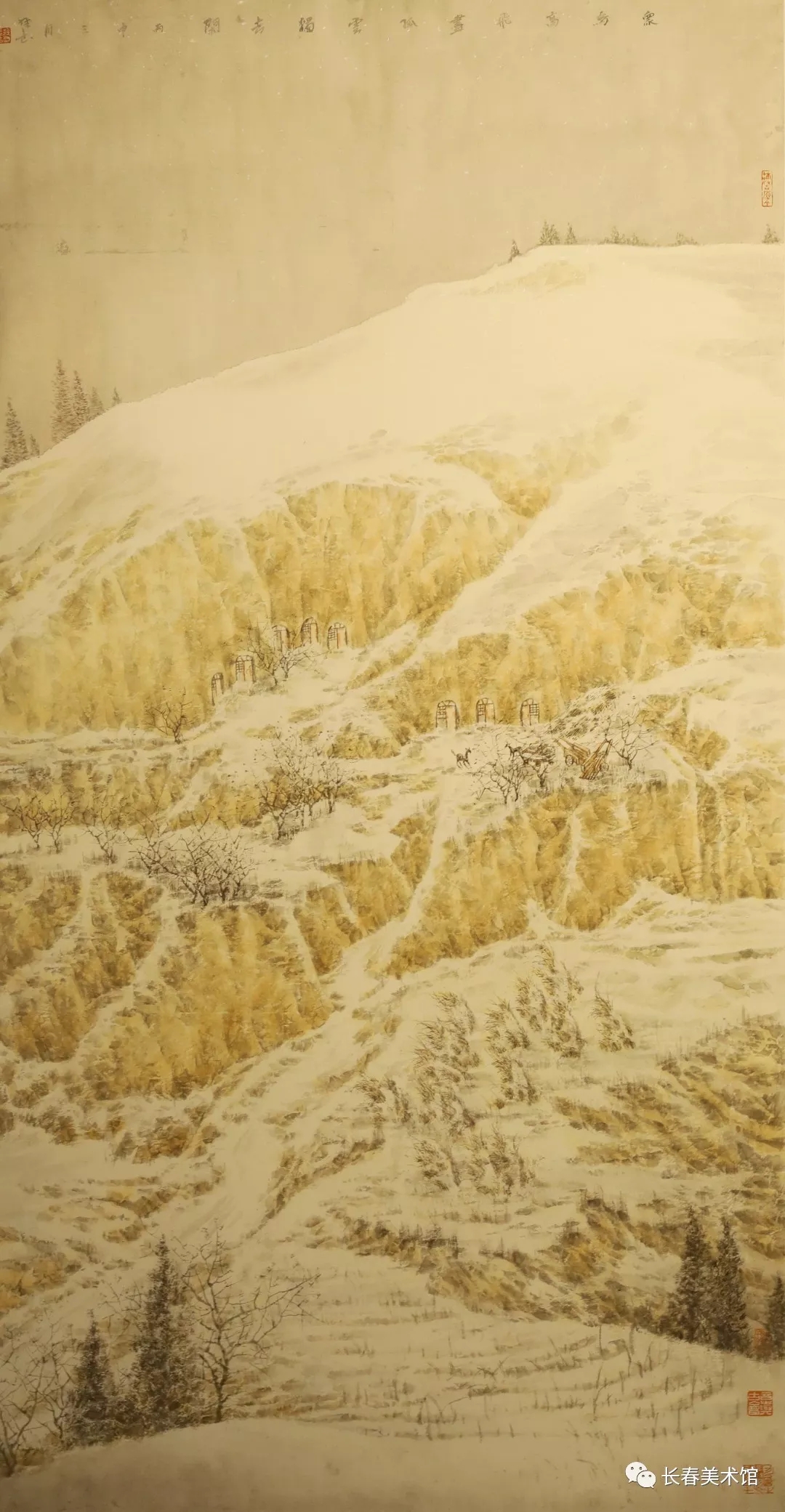 雪韵.webp.jpg