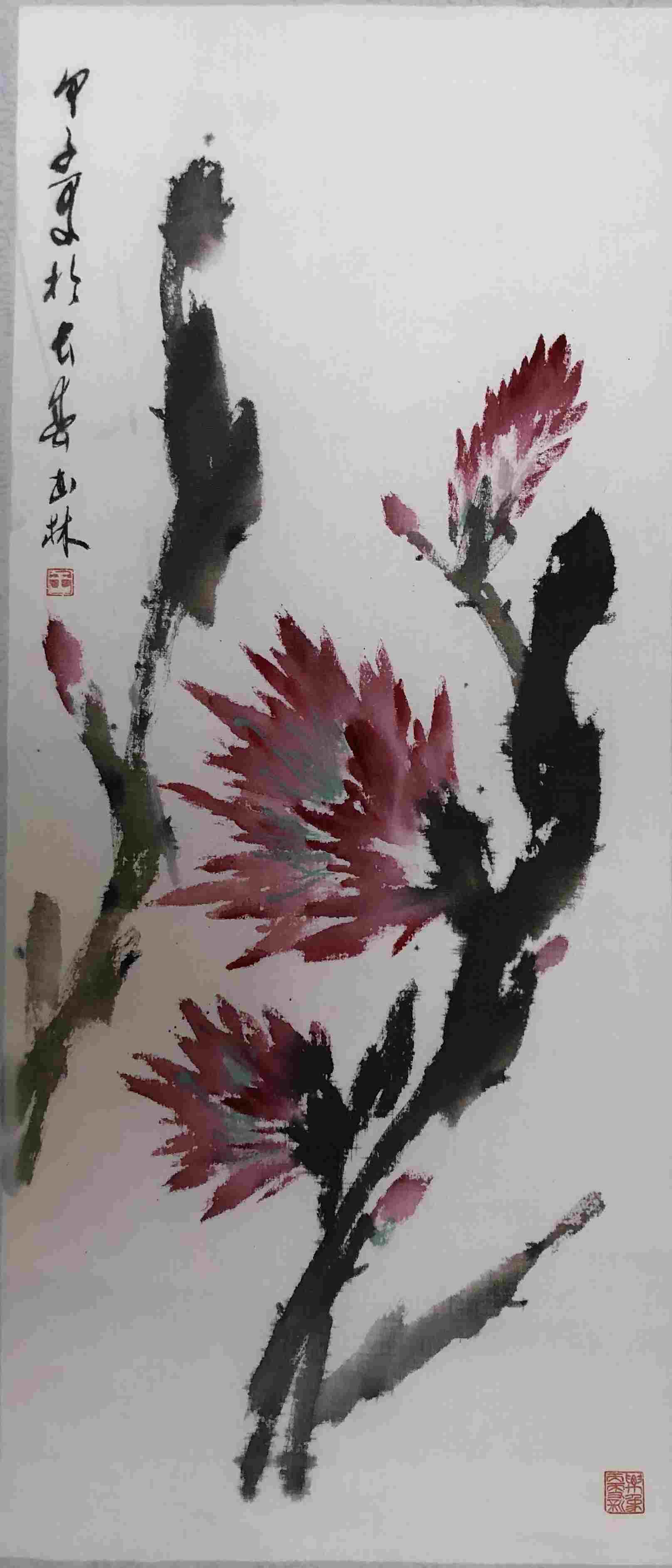 王书林 花卉