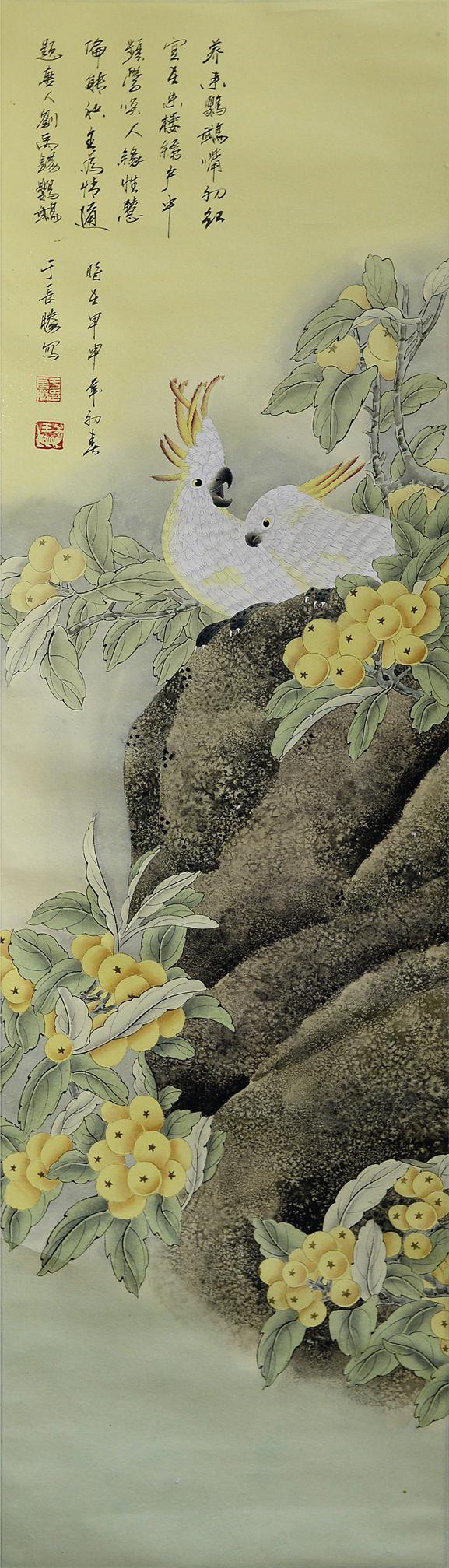 枇杷鹦鹉