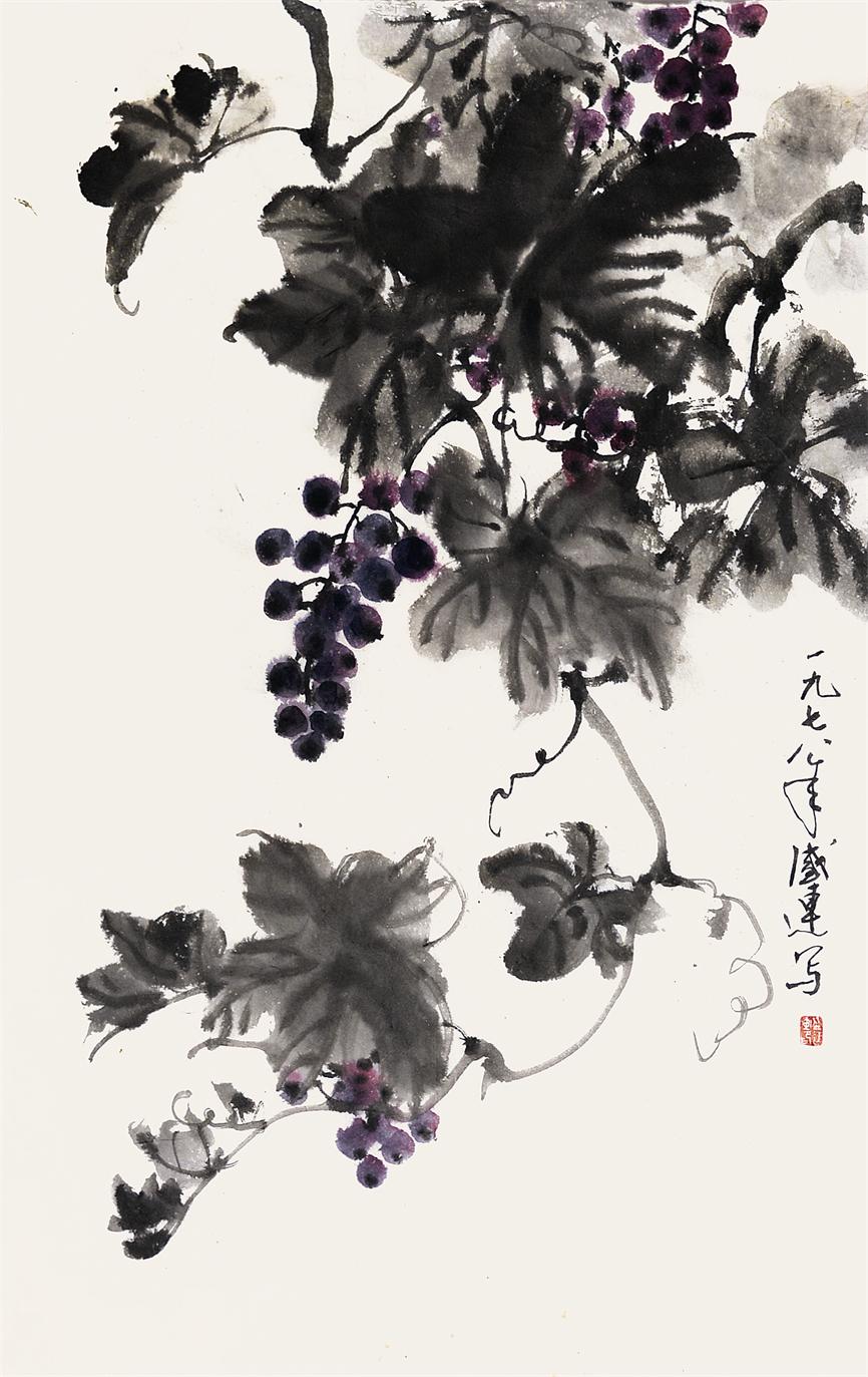 葡萄