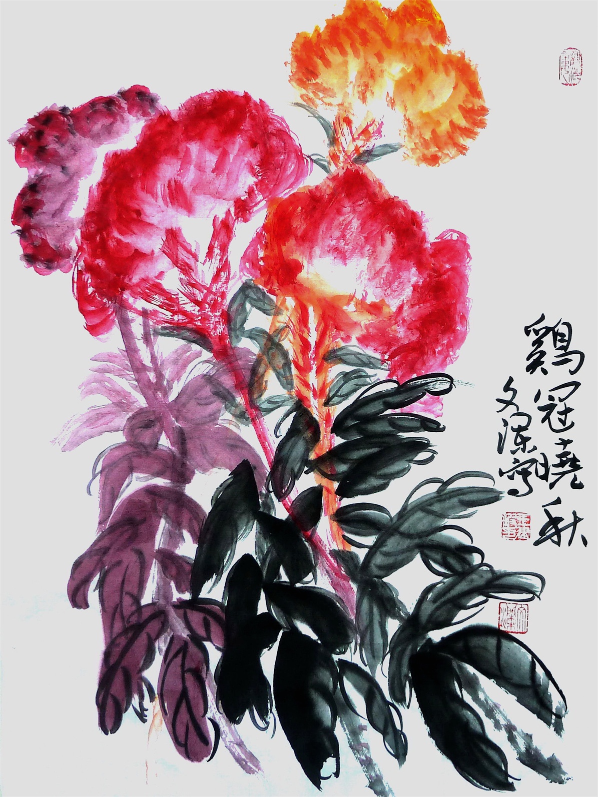 鸡冠晓秋