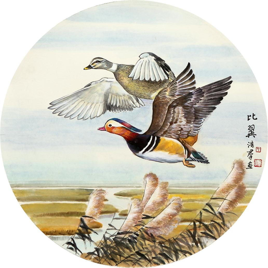 比翼
